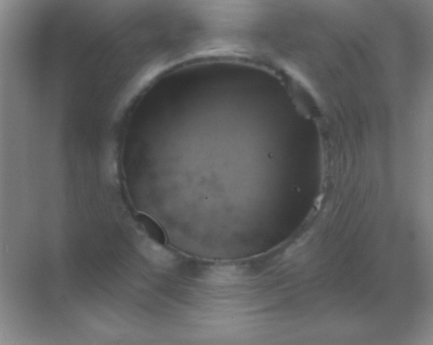 X0000068841455200605191913