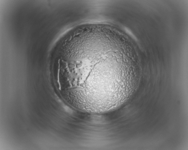 X0000068841456200605191913