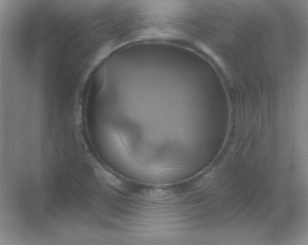 X0000068841459200605191913