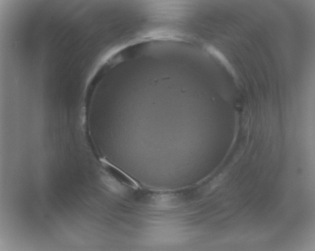 X0000068841461200605191913