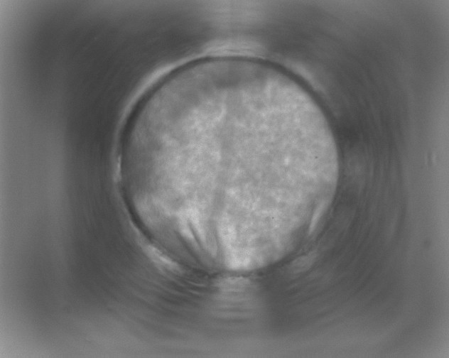 X0000068841462200605191913