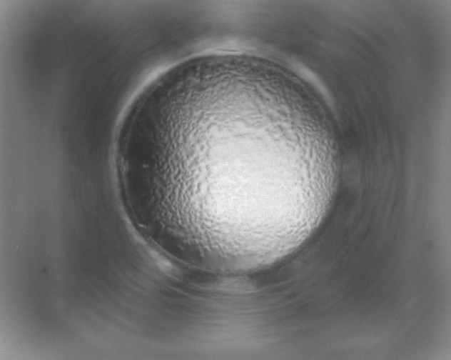 X0000068841464200605191913