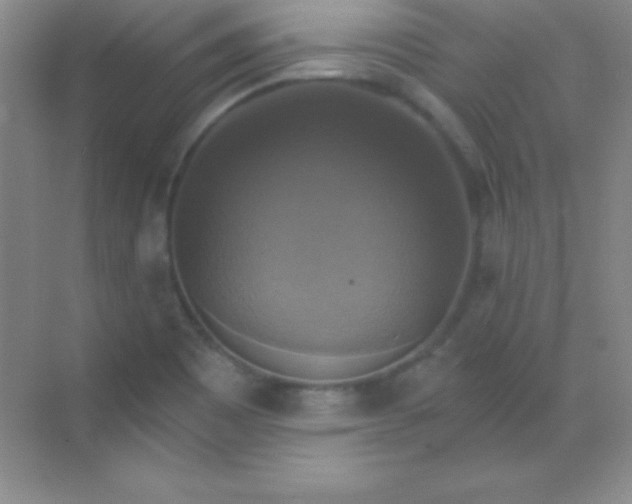 X0000068841465200605191913