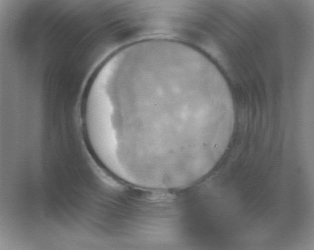 X0000068841466200605191913