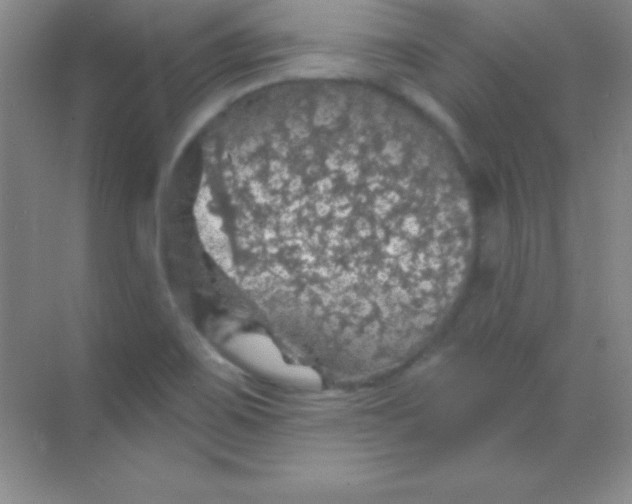 X0000068841467200605191913