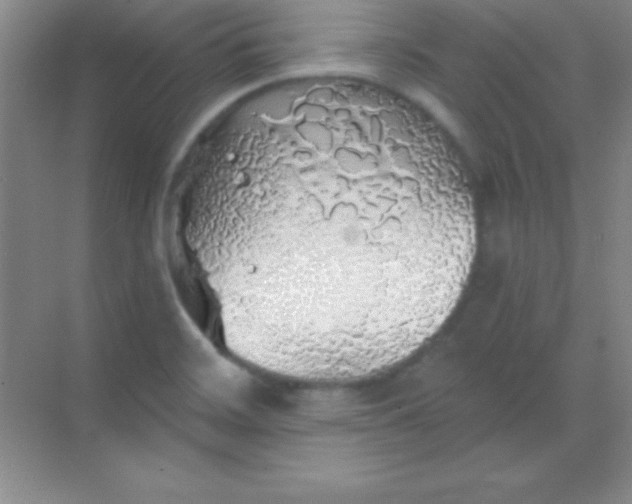 X0000068841468200605191913