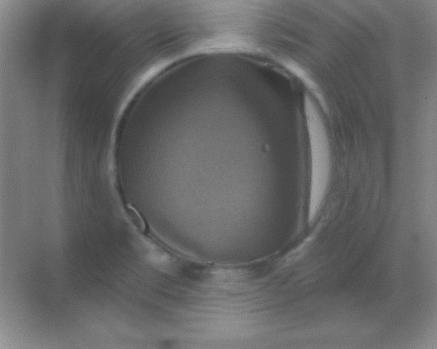 X0000068841469200605191913