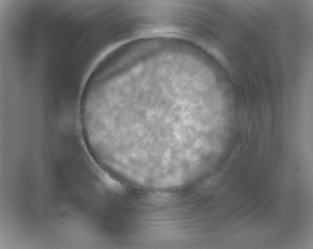 X0000068841470200605191913