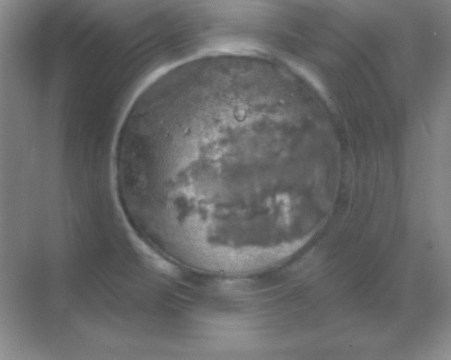 X0000068841471200605191913