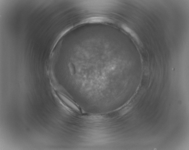 X0000068841473200605191913