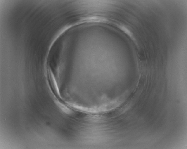 X0000068841474200605191913