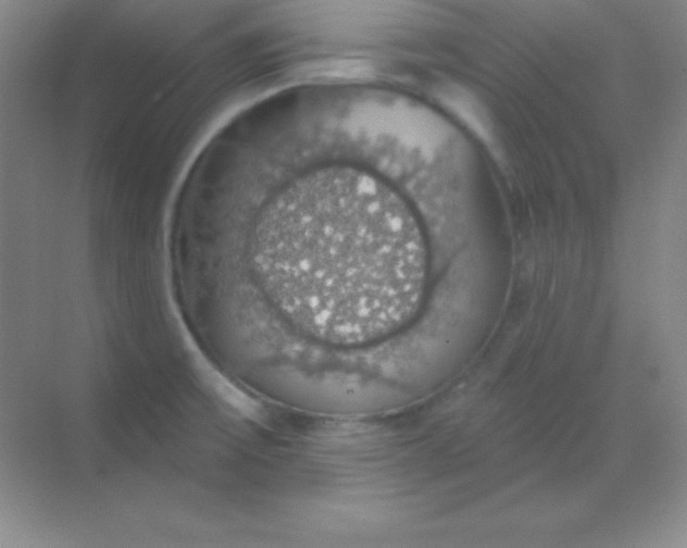 X0000068841475200605191913