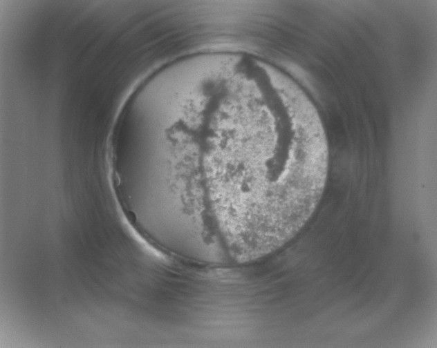 X0000068841476200605191913