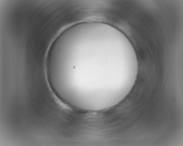 X0000068841478200605191913