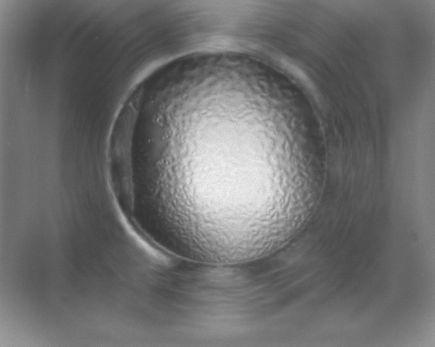 X0000068841479200605191912