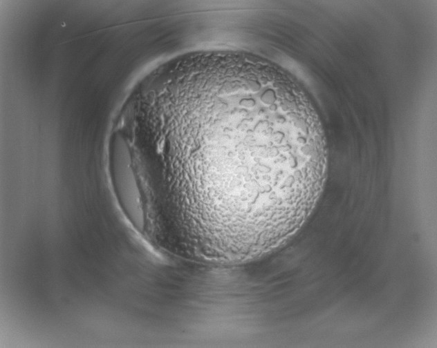 X0000068841480200605191912