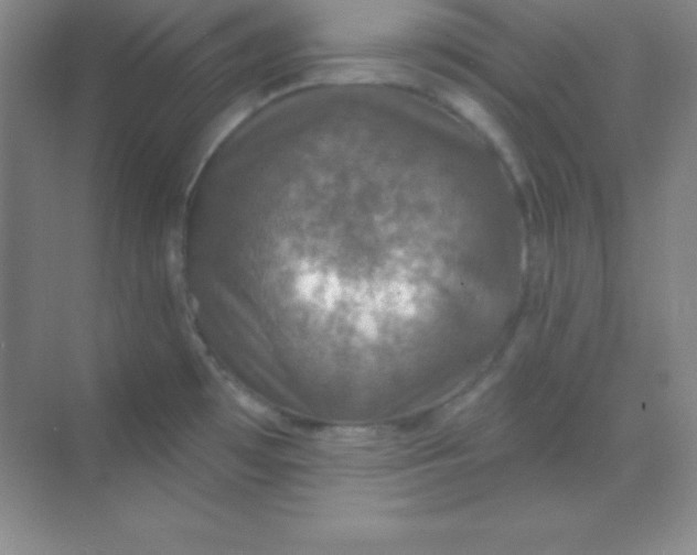 X0000068841481200605191912