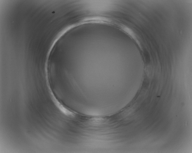 X0000068841482200605191912