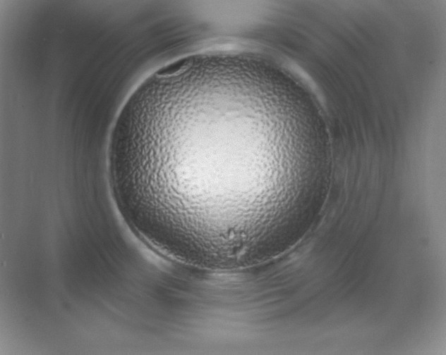 X0000068841483200605191912