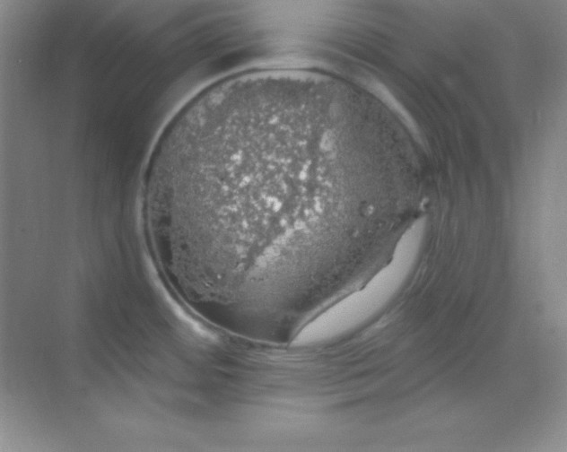 X0000068841484200605191912