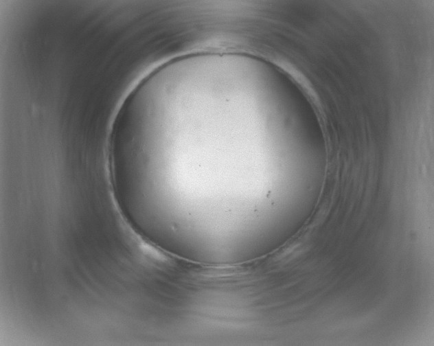 X0000068841486200605191912