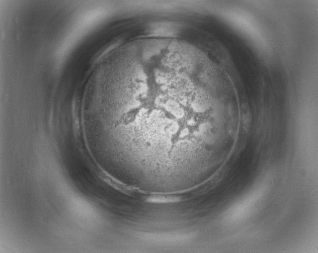 X0000068841487200605191912