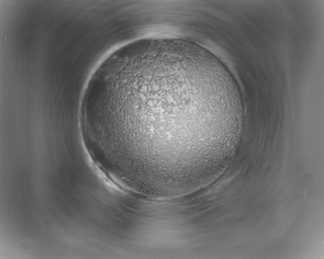 X0000068841488200605191912