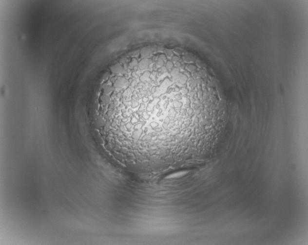 X0000068841489200605191912