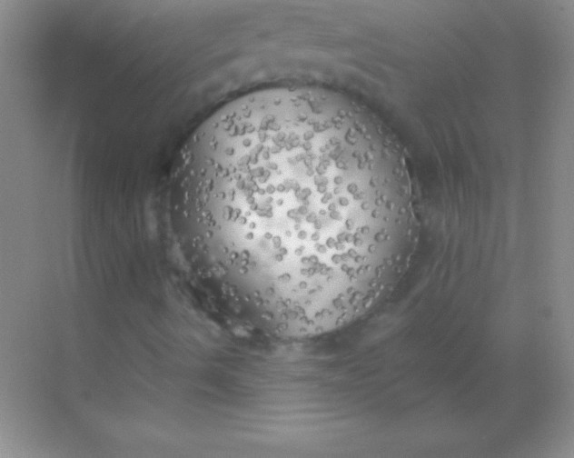 X0000068841490200605191912