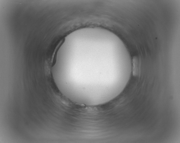 X0000068841491200605191912