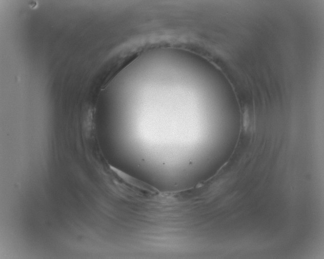 X0000068841492200605191912