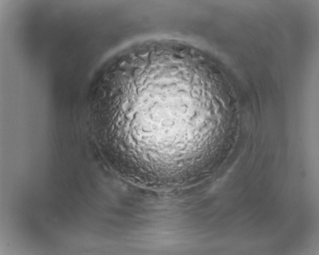 X0000068841494200605191912