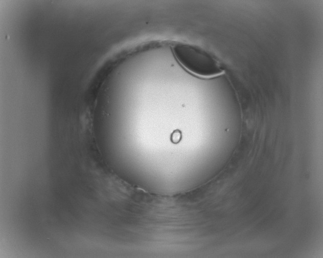 X0000068841495200605191912