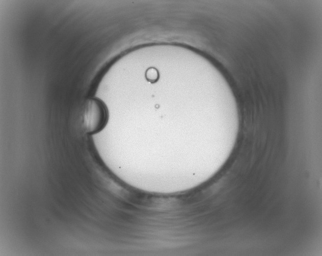 X0000068841498200605191912