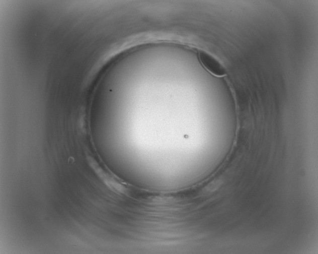 X0000068841499200605191912