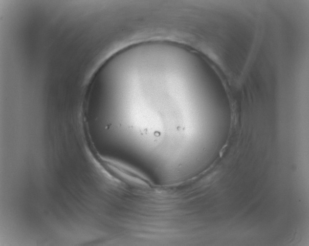 X0000068841500200605191912