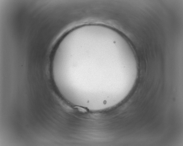 X0000068841502200605191912