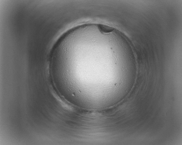 X0000068841503200605191912