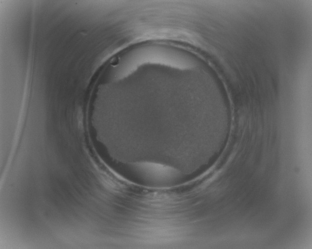 X0000068841505200605191912