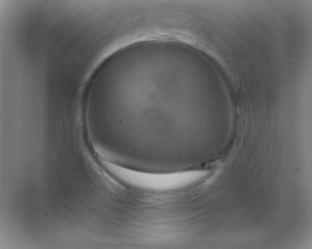 X0000068841506200605191912