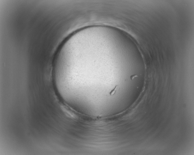 X0000068841507200605191912