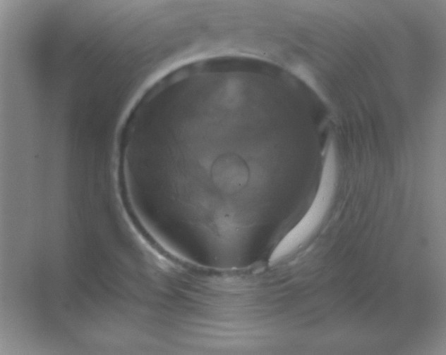 X0000068841508200605191912