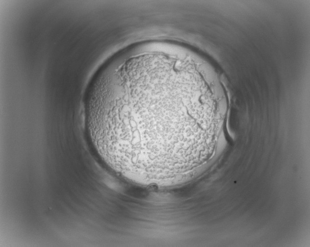 X0000068841509200605191912