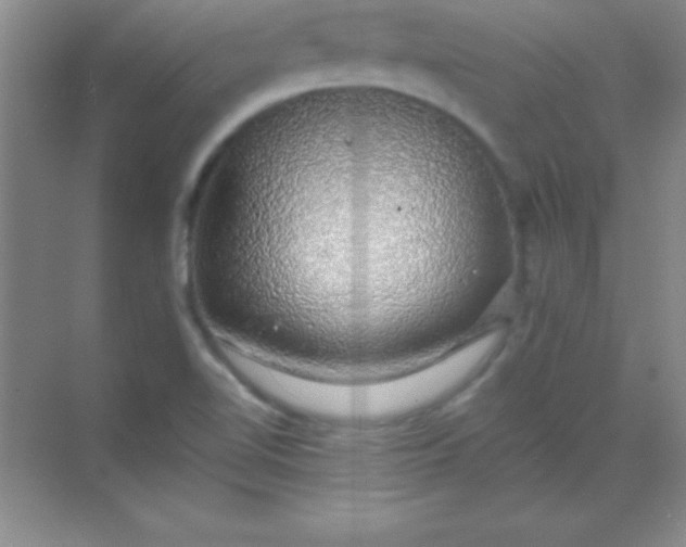 X0000068841510200605191912