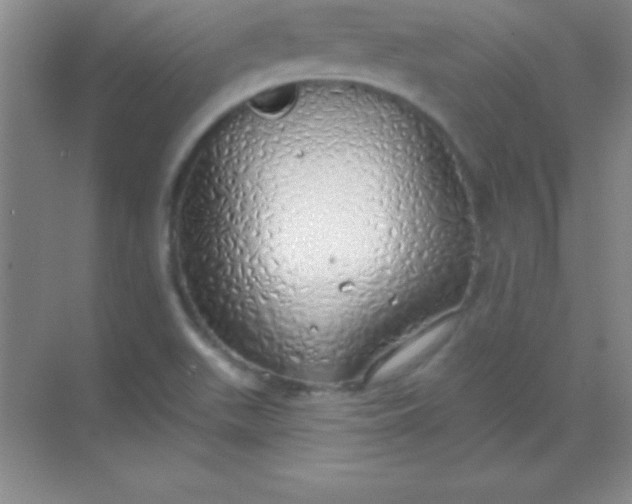 X0000068841511200605191912