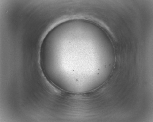 X0000068841512200605191912