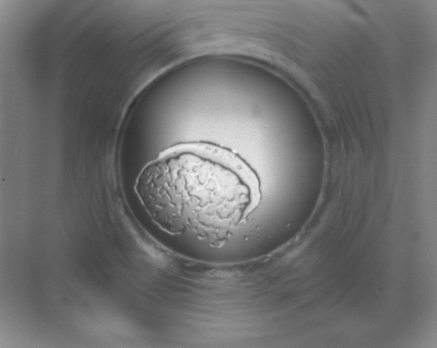 X0000068841513200605191912