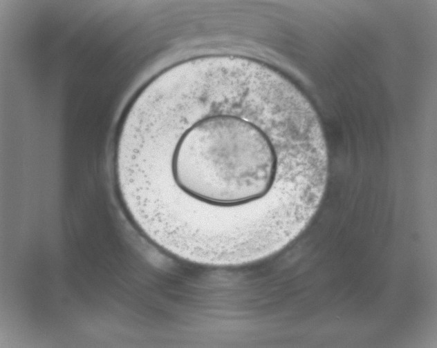 X0000068841514200605191912