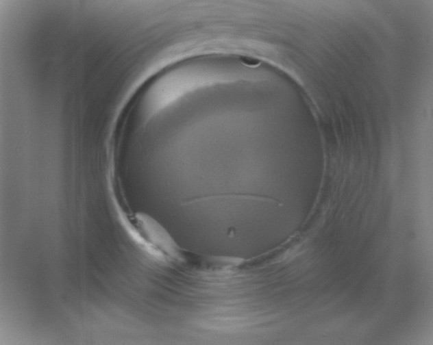 X0000068841515200605191912