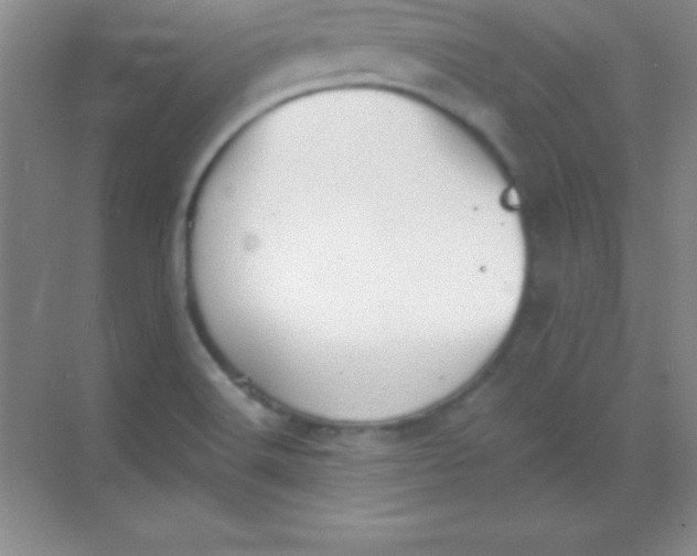 X0000068841516200605191912